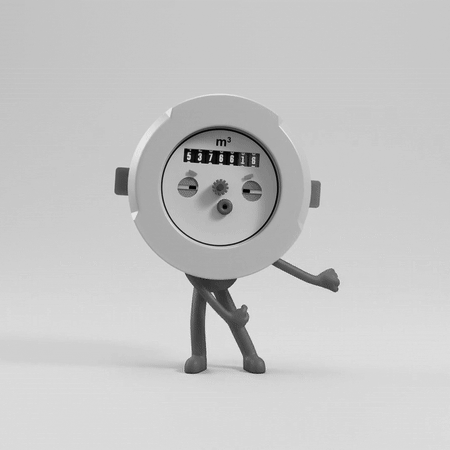 Peter the Meter