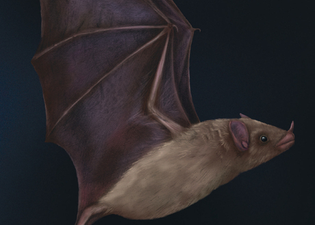 Natural Partners - Samantha N Peters