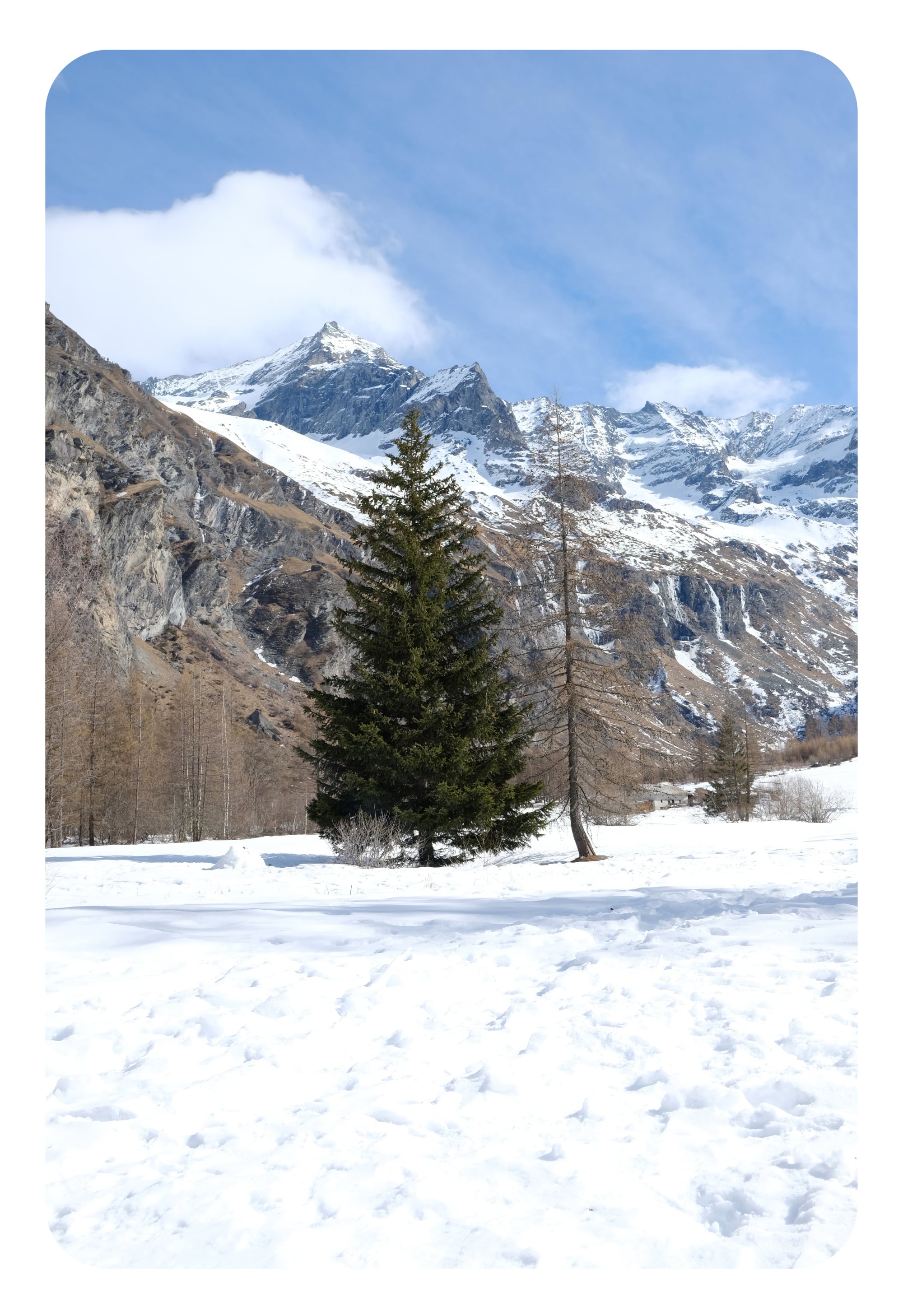 greetings from the alps II