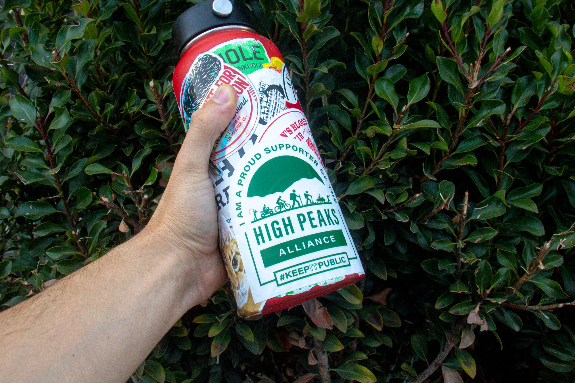 +high peaks alliance