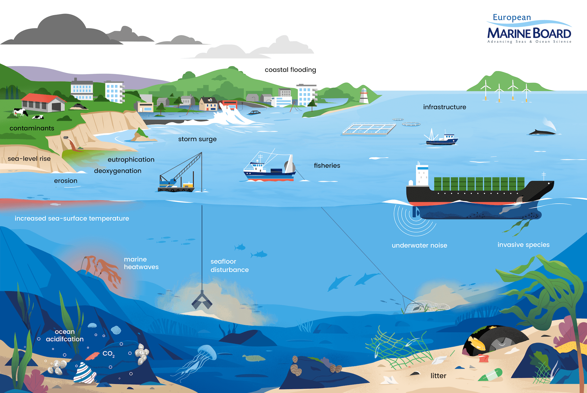 Coastal Resilience - Amy Dozier - Amy Dozier