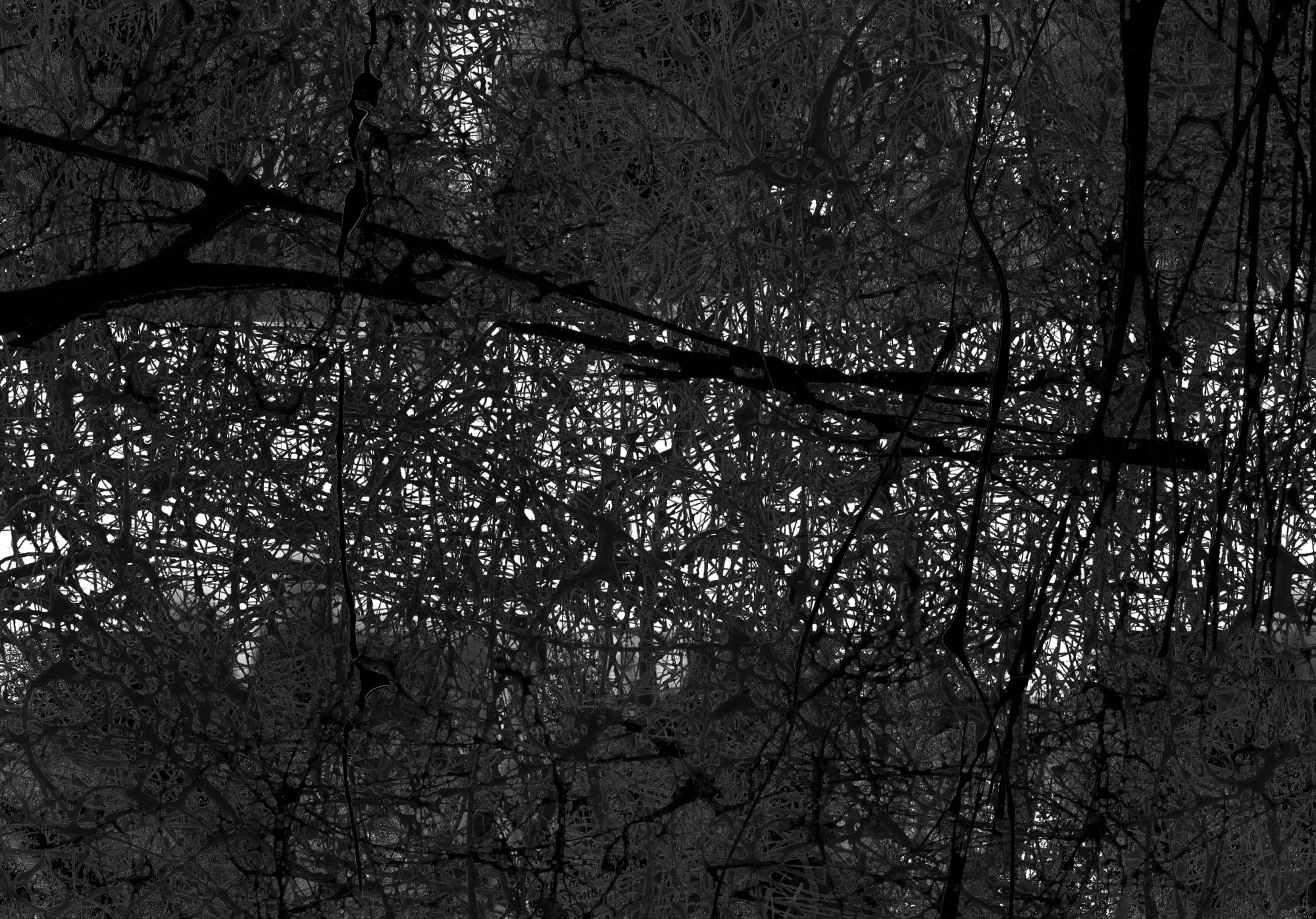 Graphic Art / Stratigraphy of Traces