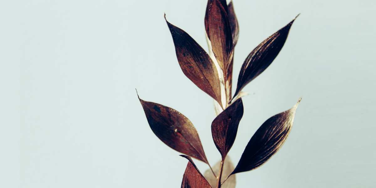 Copperleaf
