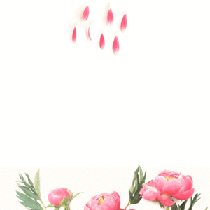 Local Florists Campaign
