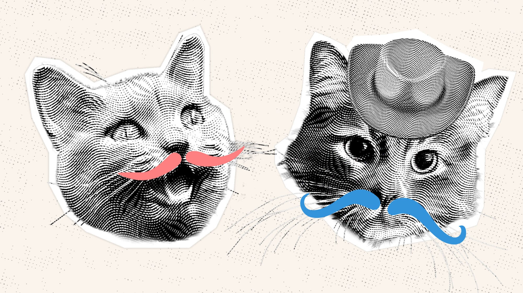 Dos Gatos Salsa