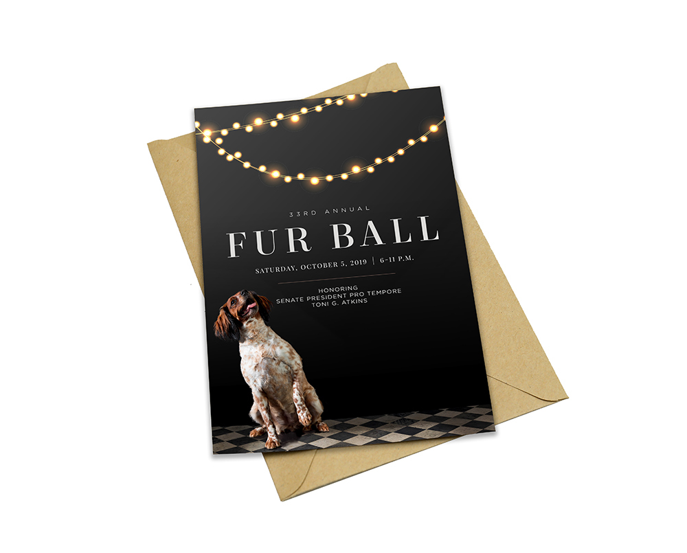 FUR BALL GALA