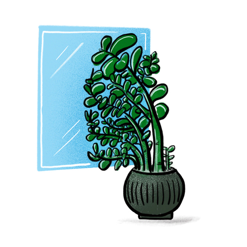 Spot Illustrations and Editorial Design