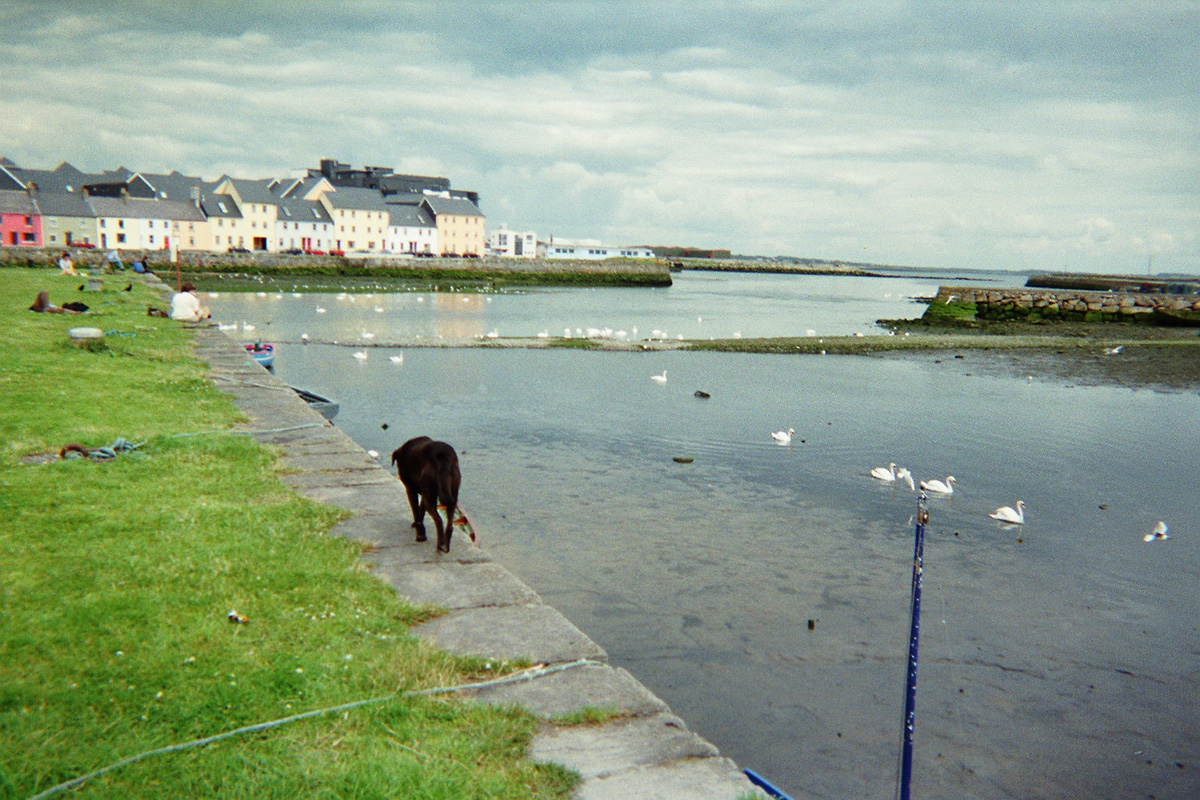 galway.jpg galway.jpg