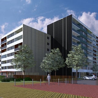 Les 3 Arbres / Roubaix / 2020