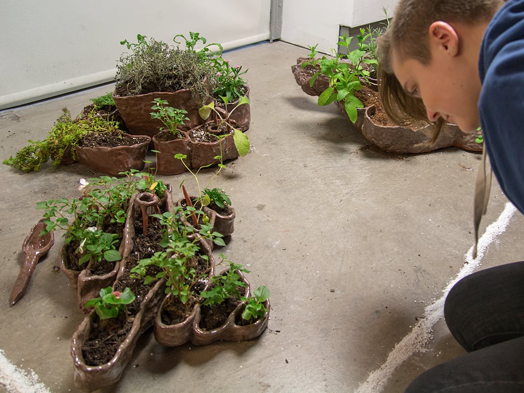 Institute of Plant Motivation Headquarters