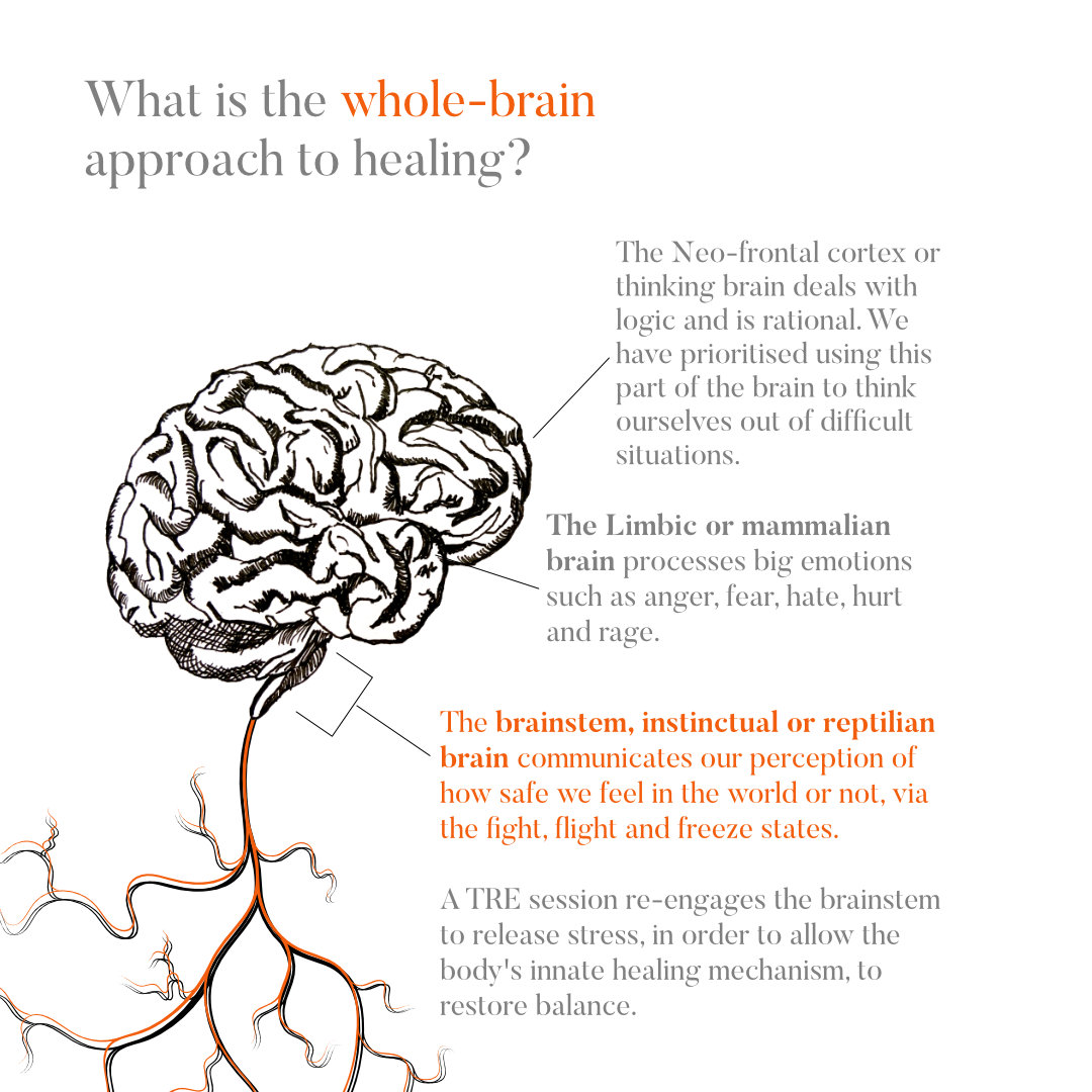 WholeBrain_Healing.jpg WholeBrain_Healing.jpg