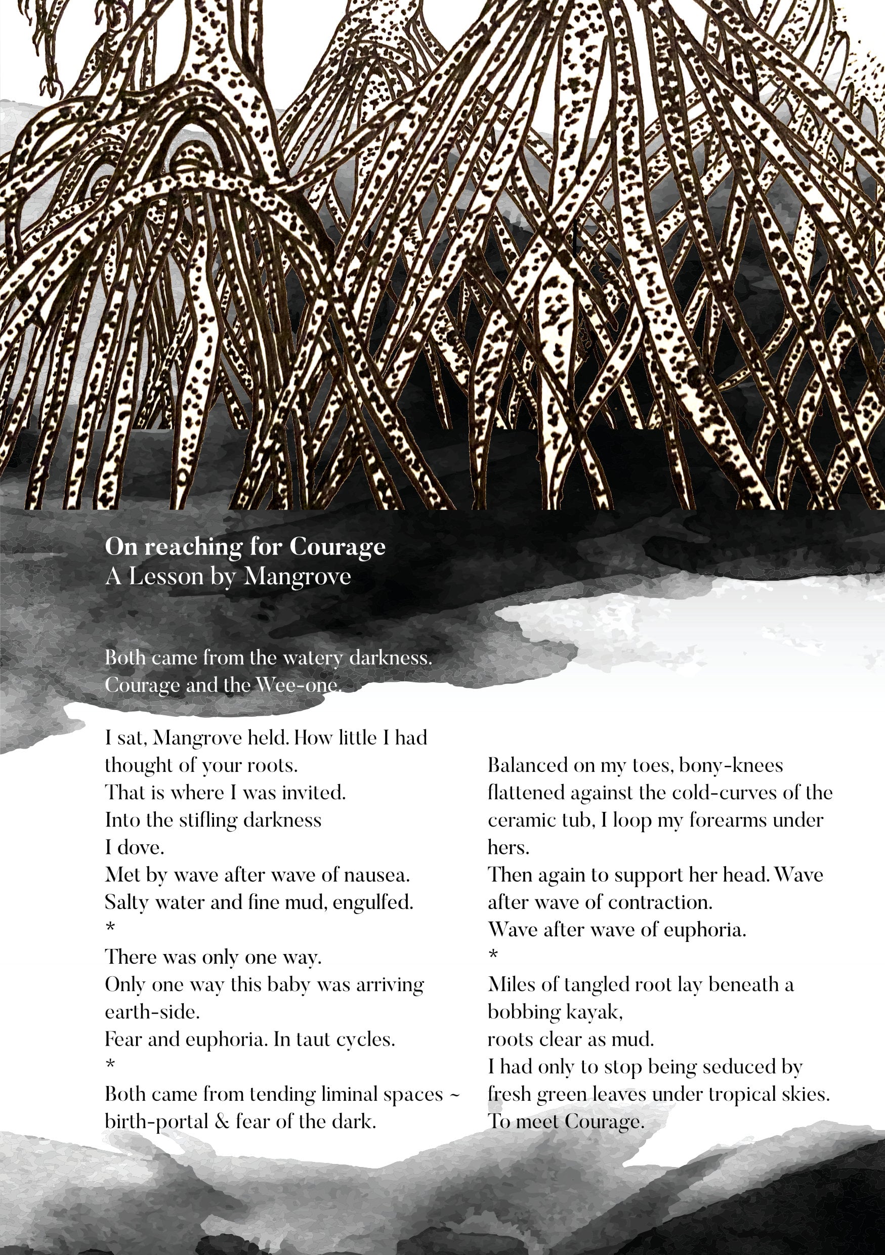 Mangrove Poem.jpg