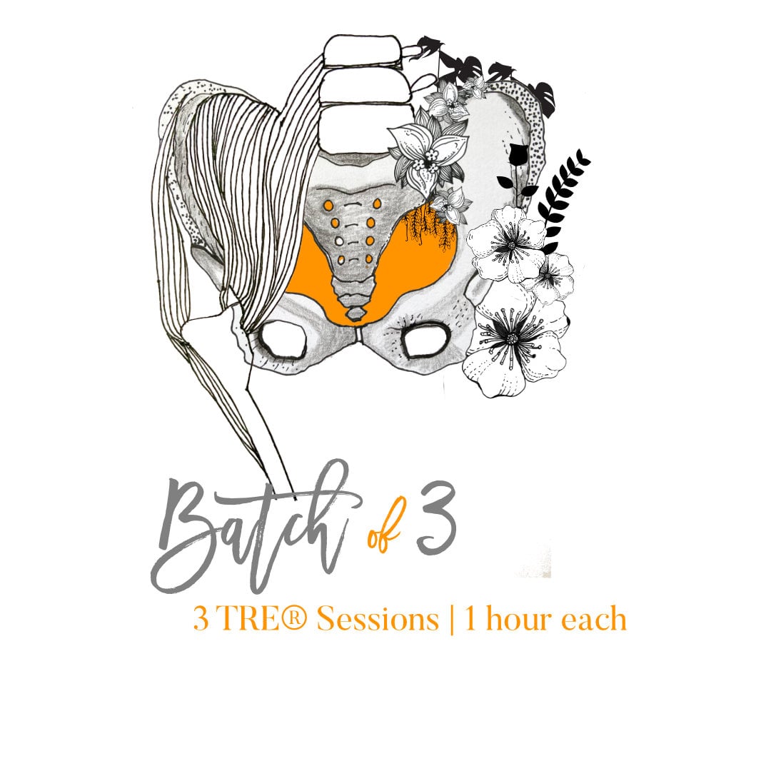 Batch of 3.jpg Batch of 3.jpg