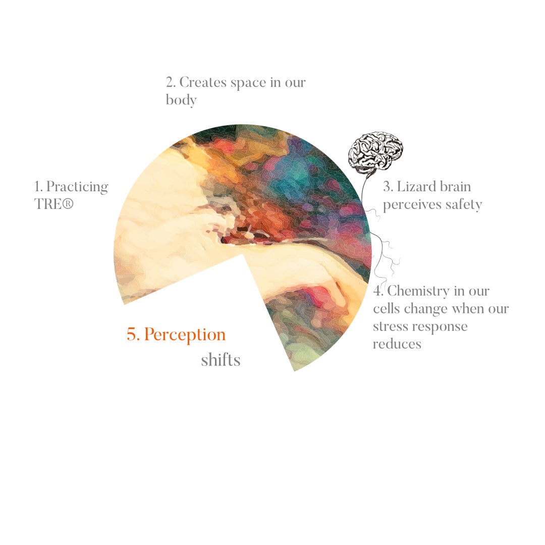 TRE & Shift in Perception.jpg