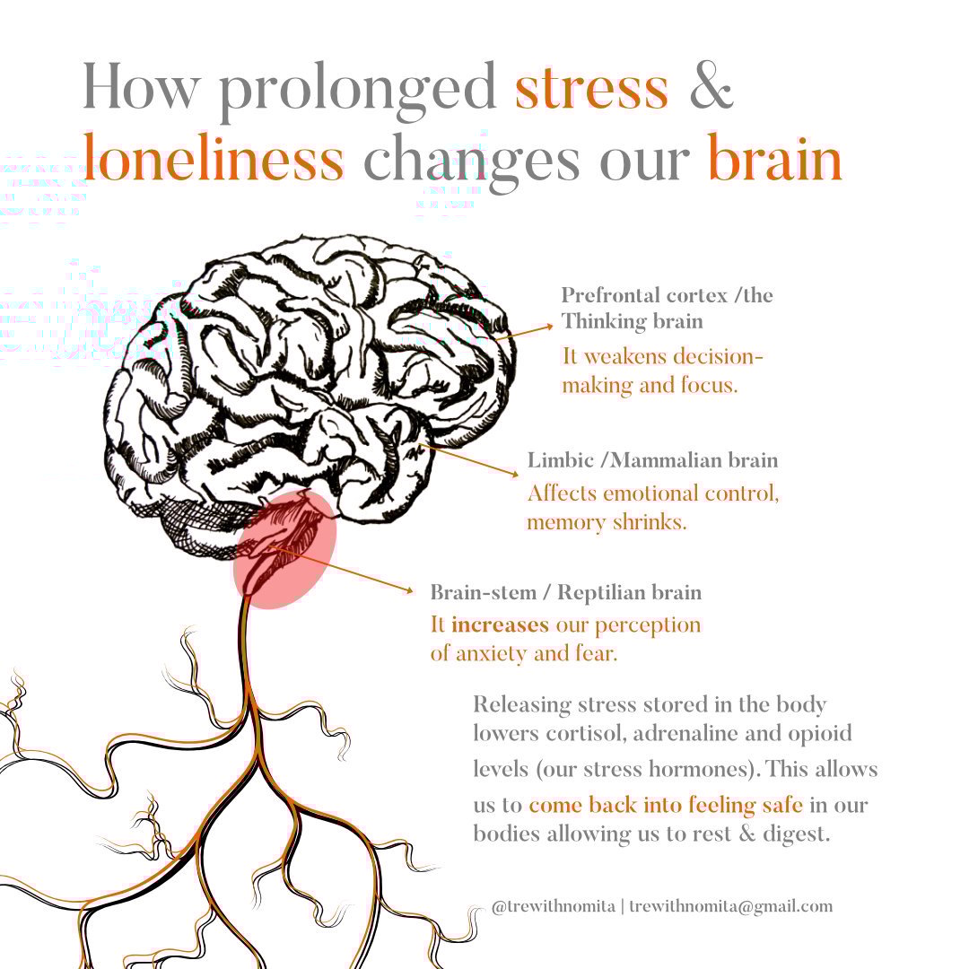 Stress+Loneliness+Brain.jpg Stress+Loneliness+Brain.jpg